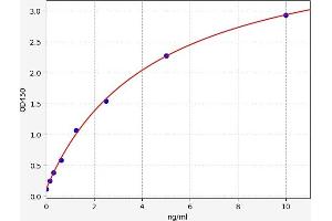 ELISA image for Cross-Linked C-Telopeptides of Type I Collagen (CTX-I) ELISA Kit (ABIN6966138)