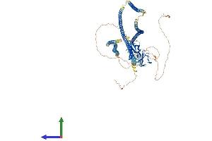 Protein Structure (PS) image for CAP-GLY Domain Containing Linker Protein 2 (CLIP2) (AA 1-1047) protein (His tag) (ABIN7565256)