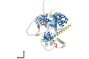 Protein Structure (PS) image for EPS8-Like 2 (EPS8L2) (AA 1-715) protein (His tag) (ABIN7547427)