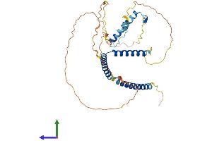 Protein Structure (PS) image for Hexamethylene Bis-Acetamide Inducible 1 (HEXIM1) (AA 1-359) protein (His tag) (ABIN7548253)