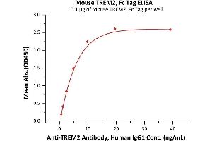 Immobilized Mouse TREM2, Fc Tag (ABIN6973291) at 1 μg/mL (100 μL/well) can bind A Antibody, Human IgG1 with a linear range of 0. (TREM2 Protein (AA 19-171) (Fc Tag))