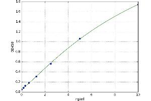 A typical standard curve