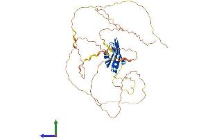 Protein Structure (PS) image for Ataxin 2-Binding Protein 1 (A2BP1) (AA 1-397) protein (His tag) (ABIN7551263)