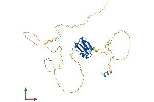 AlphaFold protein structure predicition of Mouse Recombinant Nup35 Protein, UniprotID Q8R4R6