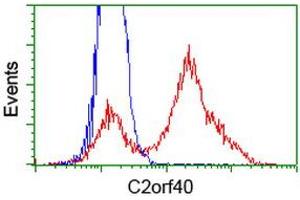 Flow Cytometry (FACS) image for anti-Chromosome 2 Open Reading Frame 40 (C2orf40) antibody (ABIN1497049) (C2orf40 抗体)