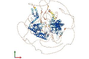 Protein Structure (PS) image for Zinc Finger, CCHC Domain Containing 11 (ZCCHC11) (AA 1-1644) protein (His tag) (ABIN7562061)