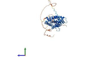 AlphaFold protein structure predicition of Mouse Recombinant Rarb Protein, UniprotID P22605