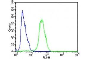 Flow Cytometry (FACS) image for anti-Cyclin-Dependent Kinase 5 (CDK5) (AA 225-260) antibody (ABIN3028603)