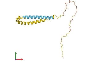 AlphaFold protein structure predicition of Human Recombinant SNCB Protein, UniprotID Q16143