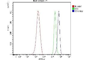 Flow Cytometry analysis of ANA-1 cells using anti-WNT10B antibody (ABIN7603104).