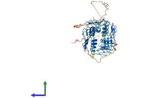 AlphaFold protein structure predicition of Human Recombinant ZNF599 Protein, UniprotID Q96NL3 (ZNF599 Protein (AA 1-588) (His tag))