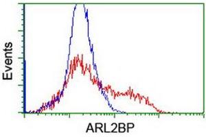 Image no. 1 for anti-ADP-Ribosylation Factor-Like 2 Binding Protein (ARL2BP) antibody (ABIN1496715) (ARL2BP 抗体)