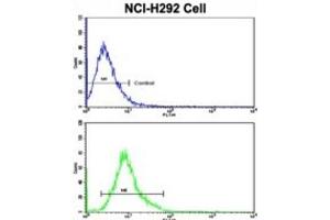 Flow Cytometry (FACS) image for anti-E74 like ETS transcription factor 4 (Elf4) antibody (ABIN3003030) (Elf4 抗体)