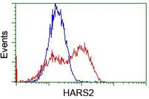 HEK293T cells transfected with either RC204925 overexpress plasmid (Red) or empty vector control plasmid (Blue) were immunostained by anti-HARS2 antibody (ABIN2455198), and then analyzed by flow cytometry. (HARS2 抗体)