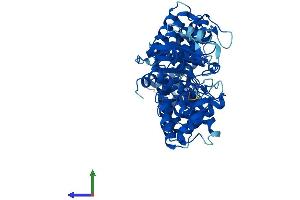 Protein Structure (PS) image for TROVE Domain Family, Member 2 (TROVE2) (AA 1-538) protein (His tag) (ABIN7551477)