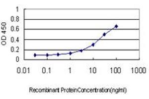 Detection limit for recombinant GST tagged MSRB2 is approximately 0. (MSRB2 抗体  (AA 102-201))