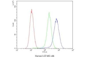 Flow Cytometry (FACS) image for anti-Major Vault Protein (MVP) antibody (ABIN5708257)
