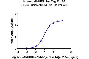 Immobilized Human AMHRII at 0. (AMHRII (AA 18-144) (Active) 蛋白)