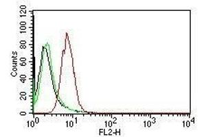 Flow Cytometric analysis of human Cyclin D1 on HeLa cells. (Cyclin D1 抗体)