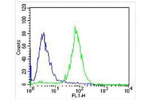 Flow Cytometry (FACS) image for anti-Neurotrophic Tyrosine Kinase, Receptor, Type 2 (NTRK2) antibody (ABIN6242493)