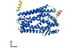 Protein Structure (PS) image for Zinc Metalloproteinase, Ste24 (Zmpste24) (AA 1-475) protein (His tag) (ABIN7547655)