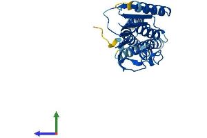 Protein Structure (PS) image for MIT, Microtubule Interacting and Transport, Domain Containing 1 (MITD1) (AA 1-249) protein (His tag) (ABIN7559876)