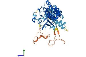Protein Structure (PS) image for RAD51 Homolog B (Rad51B) (AA 1-384) protein (His tag) (ABIN7555112)