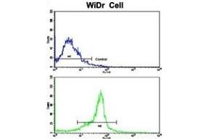 Flow cytometric analysis of widr cells using PTP4A2 Antibody (Center)(bottom histogram) compared to a negative control cell (top histogram). (PTP4A2 抗体  (AA 32-59))
