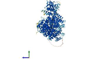 Protein Structure (PS) image for Mediator Complex Subunit 23 (MED23) (AA 1-1367) protein (His tag) (ABIN7564301)