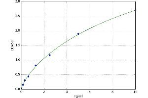 A typical standard curve (Cathepsin B ELISA 试剂盒)