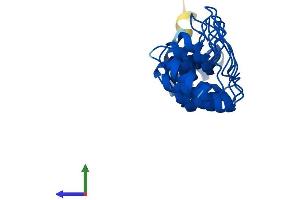Protein Structure (PS) image for Proteasome (Prosome, Macropain) 26S Subunit, Non-ATPase, 10 (PSMD10) (AA 1-226) protein (His tag) (ABIN7555074)