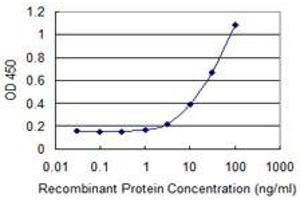 Detection limit for recombinant GST tagged RPS14 is 1 ng/ml as a capture antibody. (RPS14 抗体  (AA 45-144))