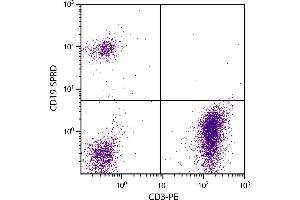 Human peripheral blood lymphocytes were stained with Mouse Anti-Human CD19-SPRD. (CD19 抗体  (SPRD))