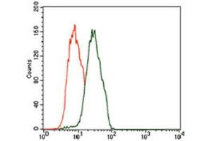 Flow Cytometry (FACS) image for anti-Chromosome 17 Open Reading Frame 53 (C17ORF53) (AA 282-527) antibody (ABIN1842990) (C17orf53 抗体  (AA 282-527))