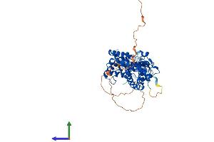 Protein Structure (PS) image for Thyroid Hormone Receptor, beta (THRB) (AA 1-461) protein (His tag) (ABIN7563200)