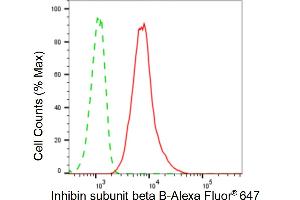 Flow cytometric analysis of inhibin subunit beta B expression in HT- cells using inhibin subunit beta B antibody (ABIN7800941), 1:2,000). (Recombinant Inhibin Subunit beta B 抗体)