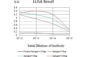 Black line: Control Antigen (100 ng),Purple line: Antigen (10 ng), Blue line: Antigen (50 ng), Red line:Antigen (100 ng) (FGFR4 抗体  (AA 22-369))