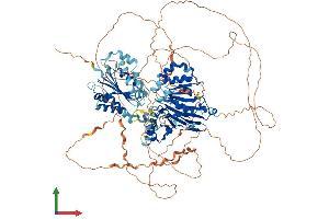 Protein Structure (PS) image for Microtubule-Associated Protein 1S (MAP1S) (AA 1-1059) protein (His tag) (ABIN7554463)