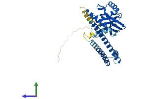 Protein Structure (PS) image for COP9 Signalosome Complex Subunit 6 (COPS6) (AA 1-324) protein (His tag) (ABIN7562624)