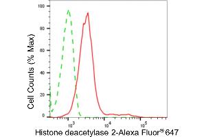 Flow cytometric analysis of histone deacetylase 2 expression in HepG2 cells using histone deacetylase 2 antibody (ABIN7798929), 1:2,000). (Recombinant HDAC2 抗体)