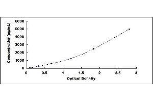 Typical standard curve (SNCAIP ELISA 试剂盒)