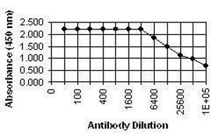 ELISA image for anti-Pp28 Tegument Protein (CMV Pp28) antibody (ABIN265538) (Pp28 Tegument Protein (CMV Pp28) 抗体)