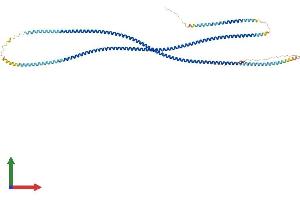 Protein Structure (PS) image for Testis Specific, 10 (TSGA10) (AA 1-697) protein (His tag) (ABIN7557971)