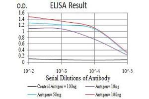 Black line: Control Antigen (100 ng),Purple line: Antigen (10 ng), Blue line: Antigen (50 ng), Red line:Antigen (100 ng) (APEX1 抗体  (AA 219-318))