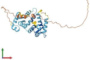 Protein Structure (PS) image for Kv Channel Interacting Protein 3, Calsenilin (KCNIP3) (AA 1-256) protein (His tag) (ABIN7561760)
