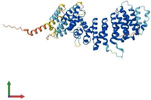 Protein Structure (PS) image for TELO2 Interacting Protein 2 (TTI2) (AA 1-508) protein (His tag) (ABIN7544936)