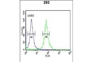 PKM2 (N-term ) Antibody (ABIN653018 and ABIN2842641) flow cytometric analysis of 293 cells (right histogram) compared to a negative control cell (left histogram). (PKM2 抗体  (N-Term))
