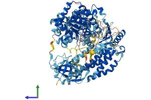 Protein Structure (PS) image for DEAD (Asp-Glu-Ala-Asp) Box Polypeptide 58 (DDX58) (AA 1-925) protein (His tag) (ABIN7547052)