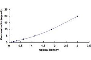 Typical standard curve (ADCY10 ELISA 试剂盒)