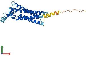 Protein Structure (PS) image for Claudin 11 (CLDN11) (AA 1-207) protein (His tag) (ABIN7553447)
